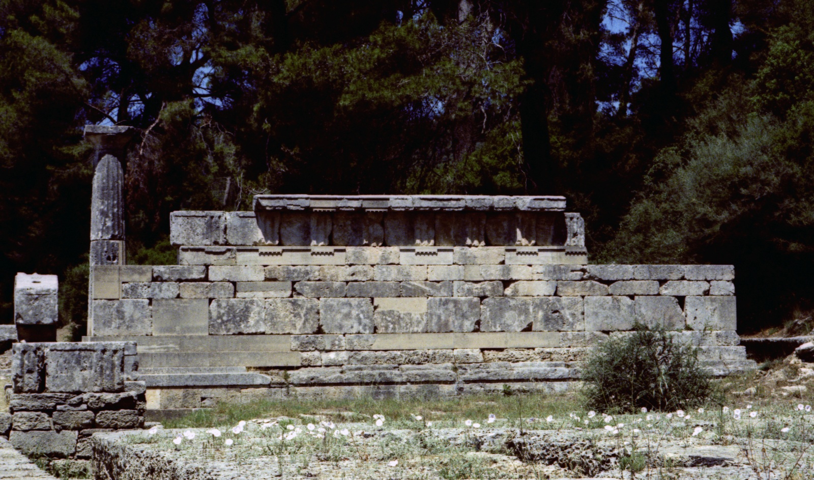 Olympia, cross process technique